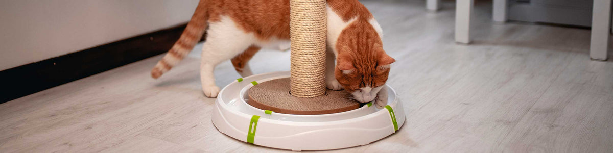 Mental stimulation toys for cats - LOVE FERPLAST