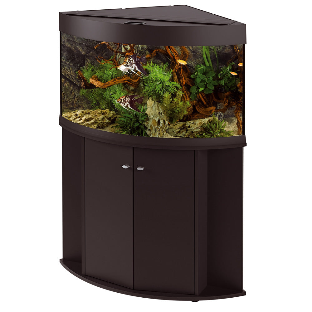 Corner aquarium best sale with stand