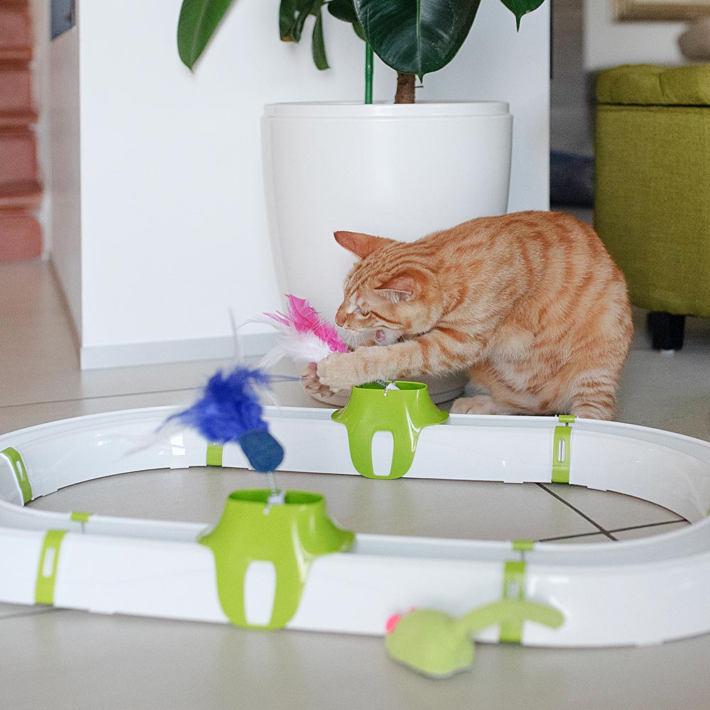 Mental stimulation toys for cats - LOVE FERPLAST