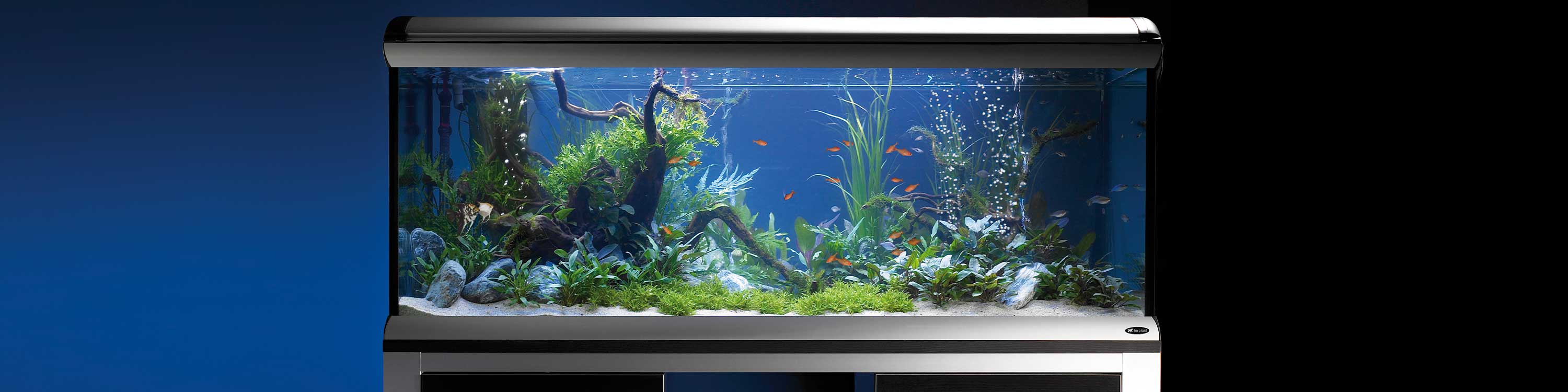 GLASS AQUARIUMS AND FISH TANKS Ferplast Official 60 L