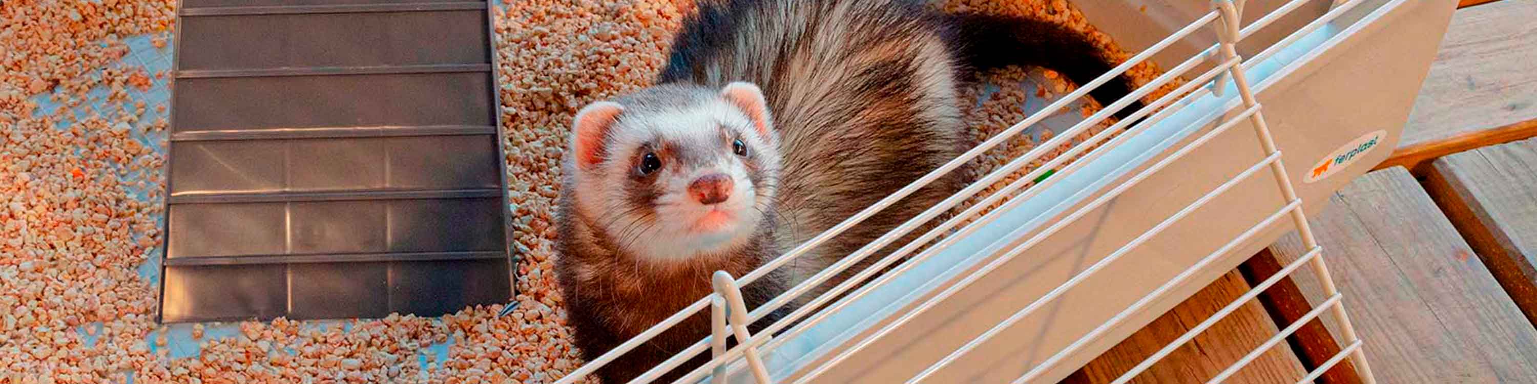 Ferplast ferret cage furet xl best sale