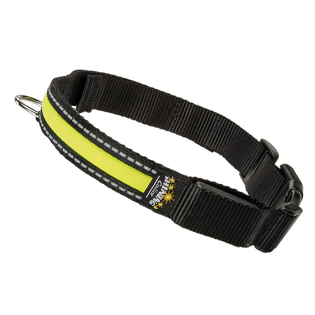 Bark collar at night best sale