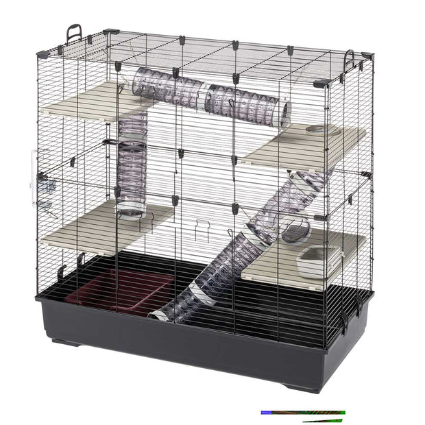 All shops living things rat cage