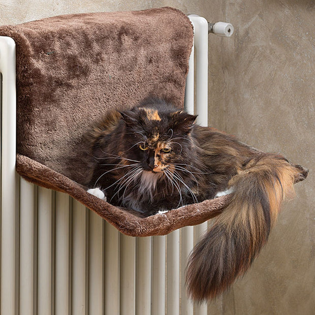 Shops luxury cat radiator bed