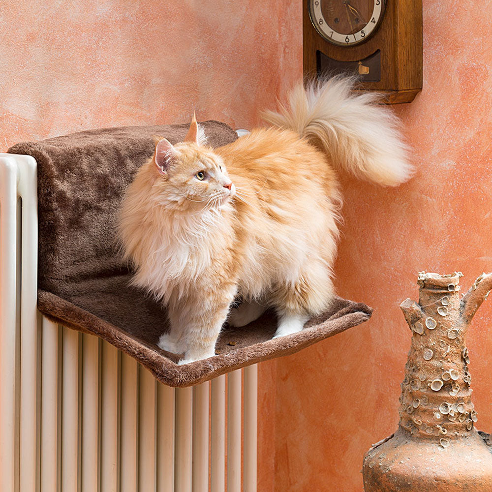 Cat radiator hotsell