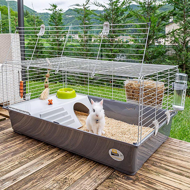 Kennels for rabbits near me best sale