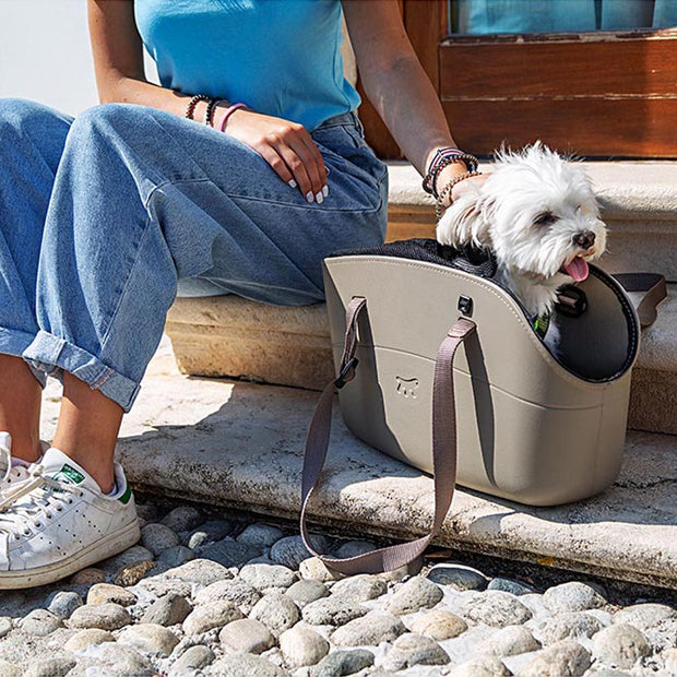 Dog carrier for fashion near me