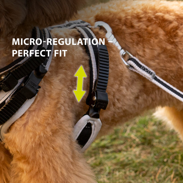 Ferplast dog harness best sale