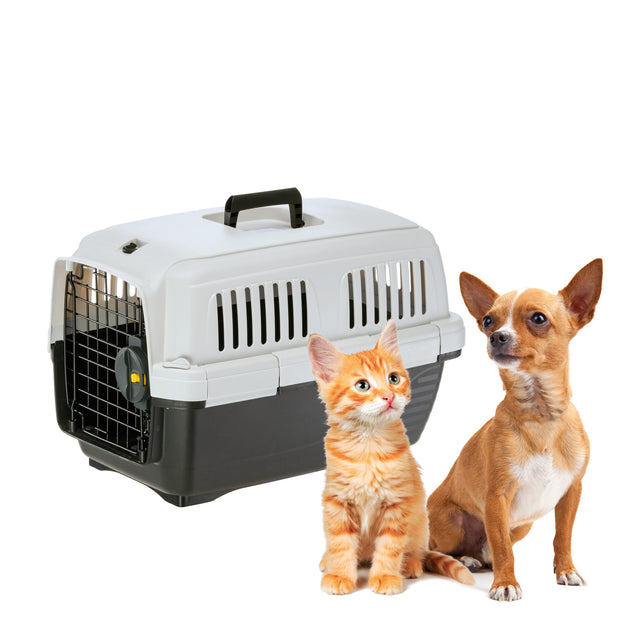 Clipper 4 orders dog crate