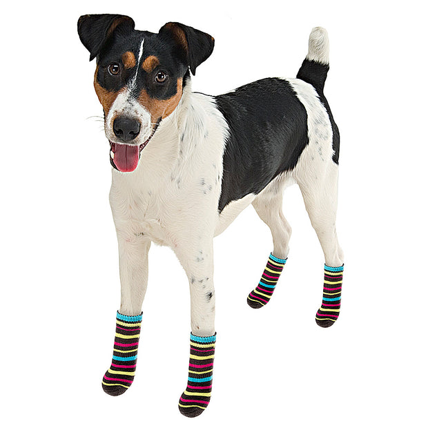 Ferplast PET SOCKS ANTISLIP Calzini per cani con antiscivolo - 3 misure.  Variante SMALL - Misure: 6.5 x