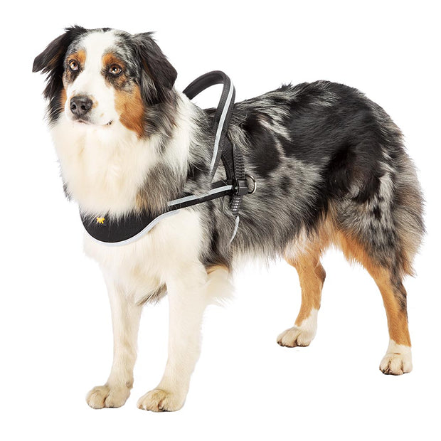 Happilax Norwegian No Pull Dog Harness for Medium to Large Dogs