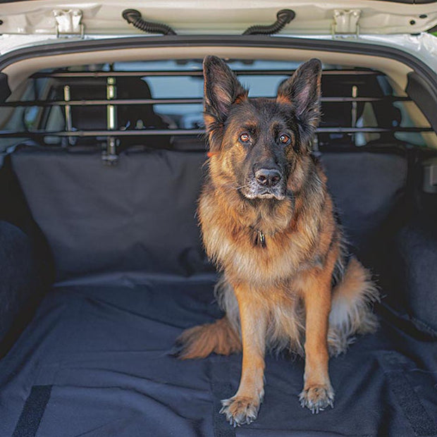 Ferplast Griglia Auto pr Cani, Divisorio Auto per Cani Protezione per Auto  per Cani DOG CAR SECURITY per il trasporto di cani, universale, in acciaio