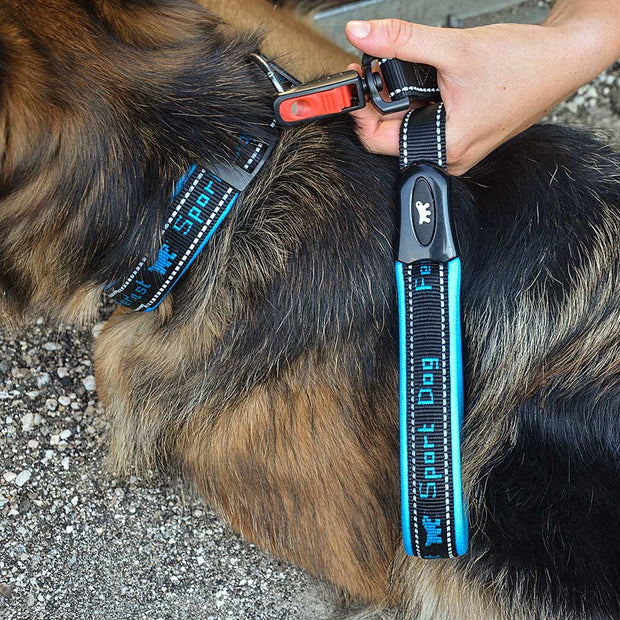 Sport dog clearance collar