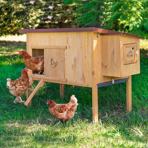 Ferplast Gallinero casa para pollos y gallinas ponedoras HEN HOUSE