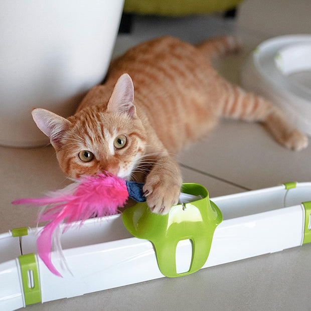 Mental stimulation toys for cats - LOVE FERPLAST