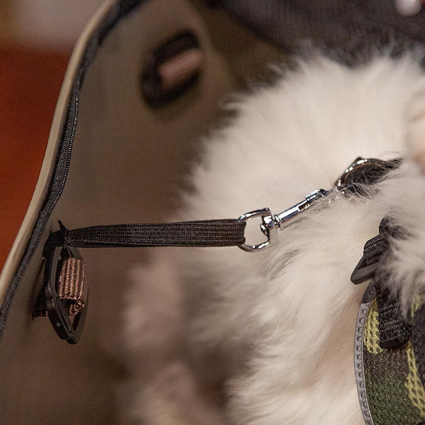 Extra Small Louis Vuitton Cat Collar