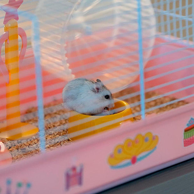 Pink princess hamster clearance cage