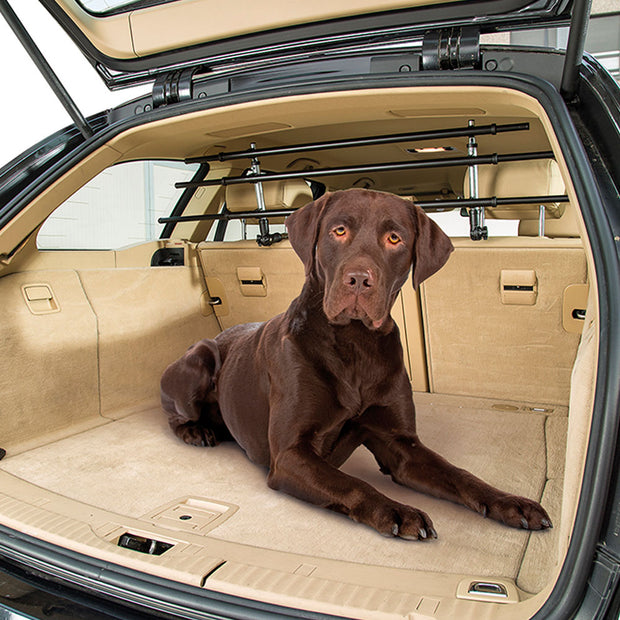 Protezione bagagliaio per cani Ferplast dog car cover 120 x 200 cm